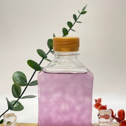 Mini T2D Aunchun Manao