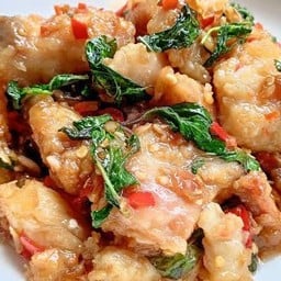 กะเพราปลาดอลลี่