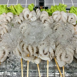 หนวดหมึกสาย ไม้ใหญ่