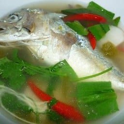 ต้มปลาทู (ตัวละ)