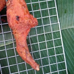 ลุกเล็กขนมจีนเมืองคอน อาหารตามสั่ง หน้า มอ.