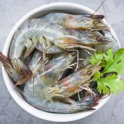 คอนโดกุ้ง