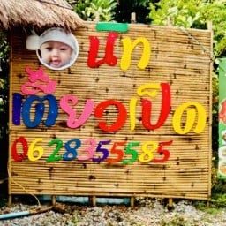 นัทเตี๋ยวเป็ด