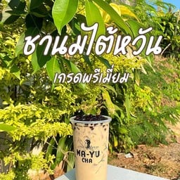 มายูชา MA-YU cha  สาขาท่าศาลา