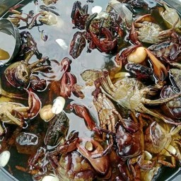 ปูดอง5ตัว50