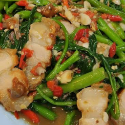 ข้าวกอ.ไก่