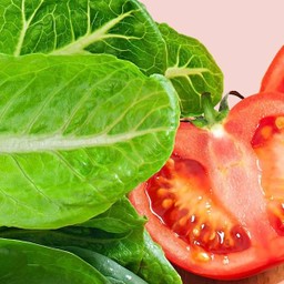 Extra Lettuce and Tomato