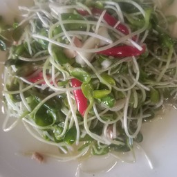 ผัดดอกทานตะวัน