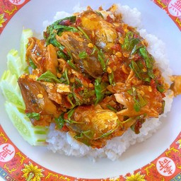 ผัดกะเพราปลากระป๋องราดข้าว