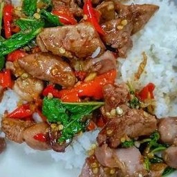 กระเพราเครื่องในไก่ ข้าวหอมมะลิ