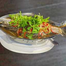 ปลากะพงนึ่งซีอิ๊ว