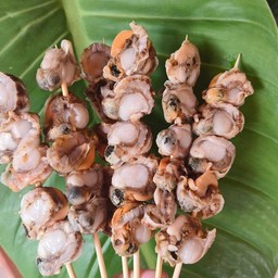 หอยเชลล์