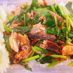 ผัดคะน้าปลากระป๋อง