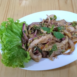 น้ำตกคอหมูย่าง