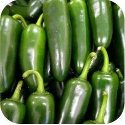 Jalapeno pickle พริกเม็กซิกันดอง