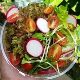 Mix Salad