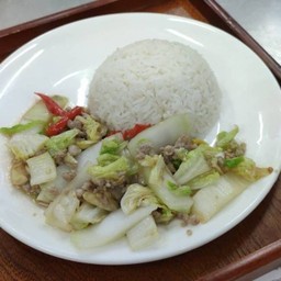 127.1 ผัดผักกาดขาวหมู/ไก่(ราดข้าวหอมมะลิ)