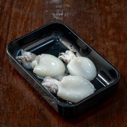 หมึกกระดอง