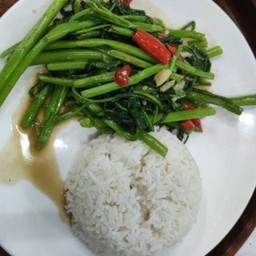 175.1 ผัดผักบุ้งไฟแดง(ราดข้าวหอมมะลิ)
