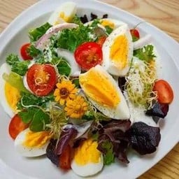 Mix salad with egg สลัดผักกับไข่
