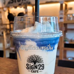 อัญชันนมสดปั่น