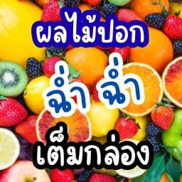 ผลไม้ ปอก ฉ่ำฉ่ำ เต็มกล่อง สัปะรด มะละกอ แก้วมังกร แคนตาลูป มะม่วงดอง แตงโม