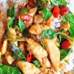 ข้าวกะเพราไก่