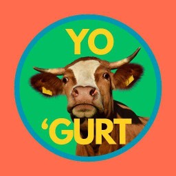 YO 'GURT