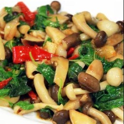 ผัดกะเพราเห็ด (ไม่ใส่เนื้อสัตว์) ราดข้าว