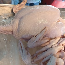 ไก่สดเป็นตัว