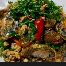 ข้าวกระเพราหมูสับไข่เยี่ยวม้า