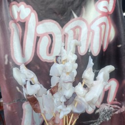 คางปลาหมึก