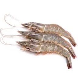 กุ้ง 2 ตัว