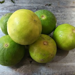 มะนาว4ลูก