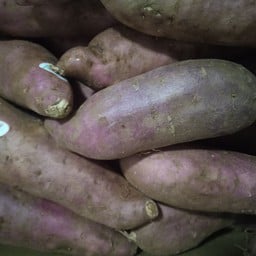 ชั่งหัวมัน มันหวานญี่ปุ่น