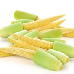 ข้าวโพดอ่อน