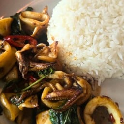 ผัดกระเพราปลาหมึกราดข้าว