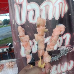 ปลาแซลมอน