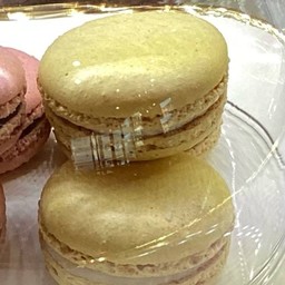 มาการอง เลมอน Lemon Macaron
