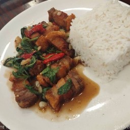 254.1 ผัดกระเพราหมูกรอบ(ราดข้าวหอมมะลิ)