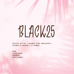 BLACK 25