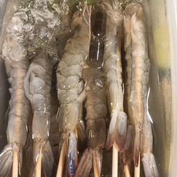 กุ้งหม่าล่า