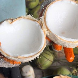 น้ำมะพร้าวปั่นนมสดเเมงลัก