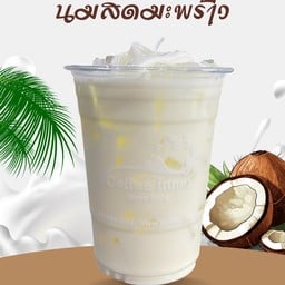 นมสดมะพร้าว (Coconut Milk)