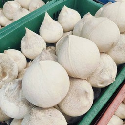 มะพร้าวน้ำหอม