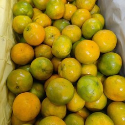 น้ำส้มคั่นสดปั่น