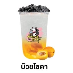 บ๊วยโซดา