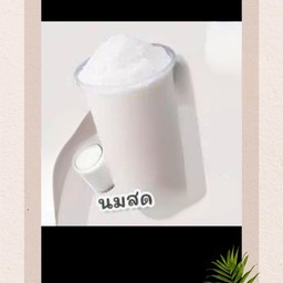 นมสดปั่น