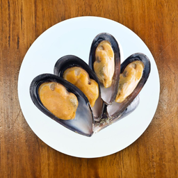 หอยแมลงภู่ (KU)