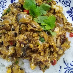 H.ปลากระป๋องผัดไข่